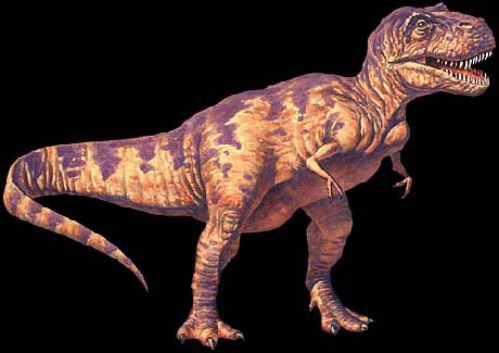 ★ティラノザウルスってどんな恐竜？~~(・・？））（（（；・・）？_b0013789_214623.jpg