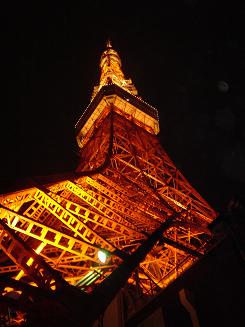 東京タワーにうっとり　Ravishing Tokyo Tower_e0059513_2285399.jpg