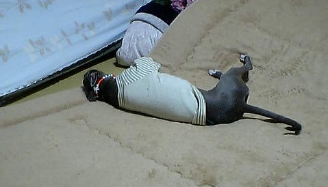 c0003217_03588.jpg