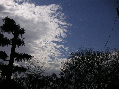 春の雲、あれこれ_c0048132_14441044.jpg