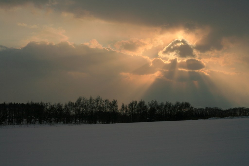 d0001745_3204833.jpg