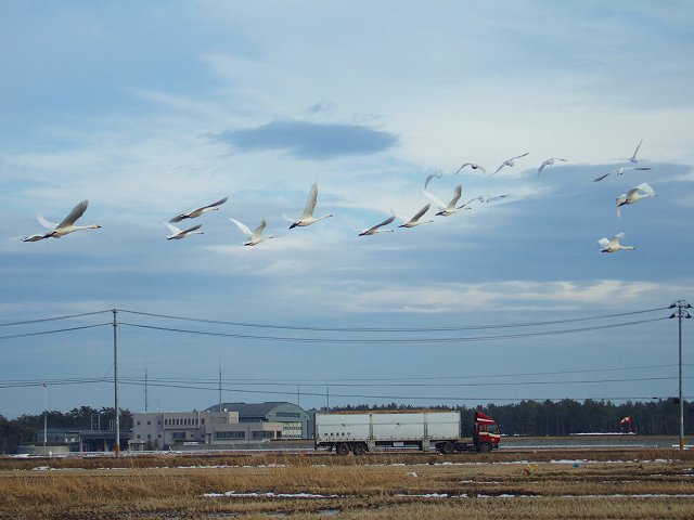 a0036649_202747.jpg