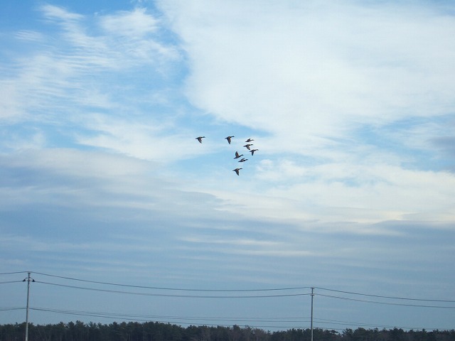 a0036649_203919.jpg
