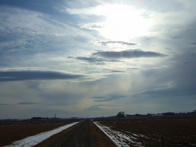 a0036649_204289.jpg