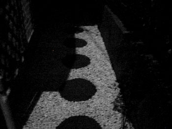 ルナイト 2_f0041351_5442449.jpg