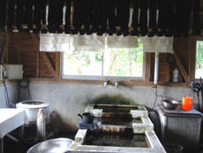 d0035752_1963751.jpg