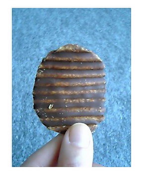 f0000673_11593928.jpg