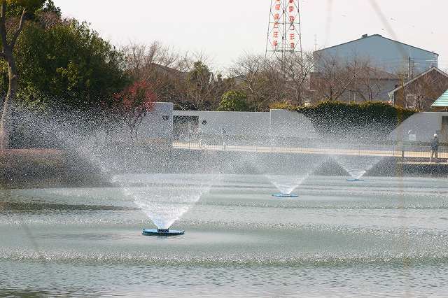 月命日前の時にはいつもの公園で･･･_f0059392_11281373.jpg