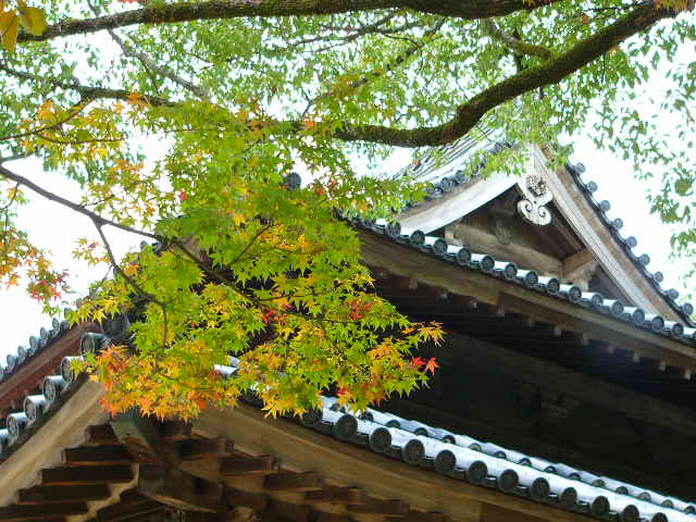 太宰府 観世音寺_a0042310_13221625.jpg