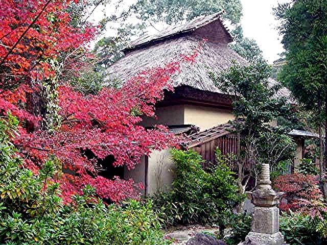太宰府 戒壇院 写真集_a0042310_1403635.jpg