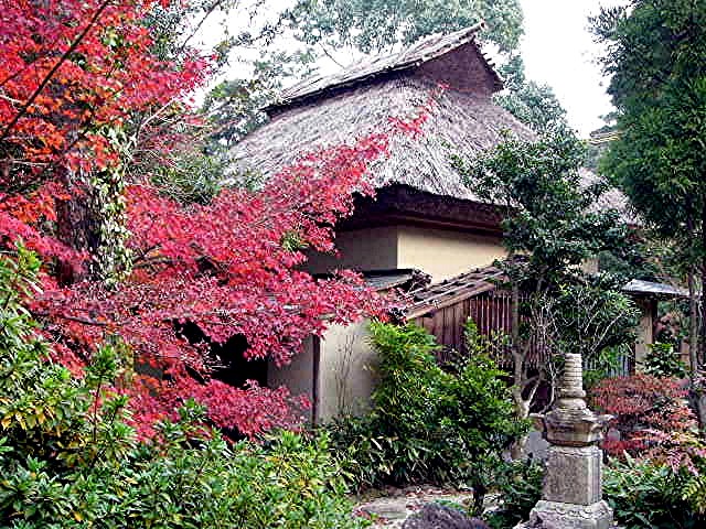 太宰府 戒壇院　写真集_a0042310_1403635.jpg