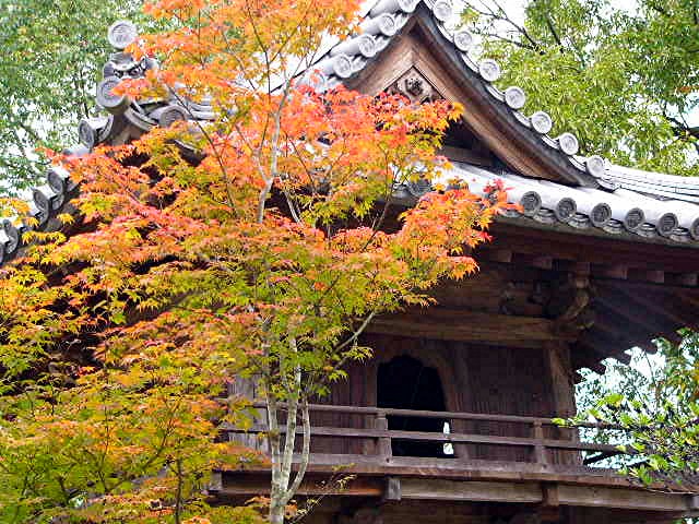 太宰府 戒壇院　写真集_a0042310_1473651.jpg