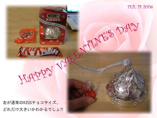 Happy Valentine\'s Day!!_e0051353_15771.jpg