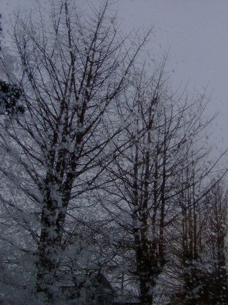 雪の日～_f0043895_2262988.jpg