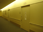 b0043506_3135414.gif