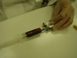 b0043506_3303365.gif