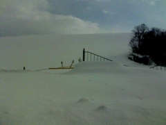 e0024206_1554364.jpg