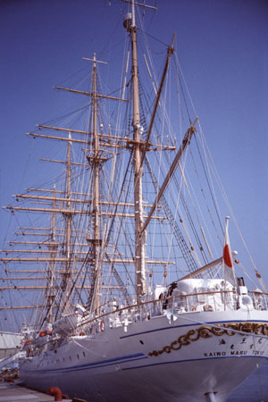 d0036630_1264016.jpg