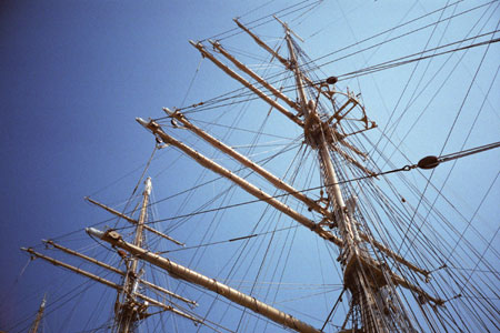 d0036630_1264744.jpg