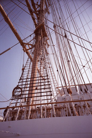 d0036630_1265262.jpg