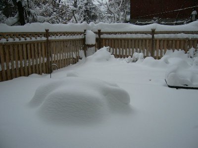 f0032635_79179.jpg