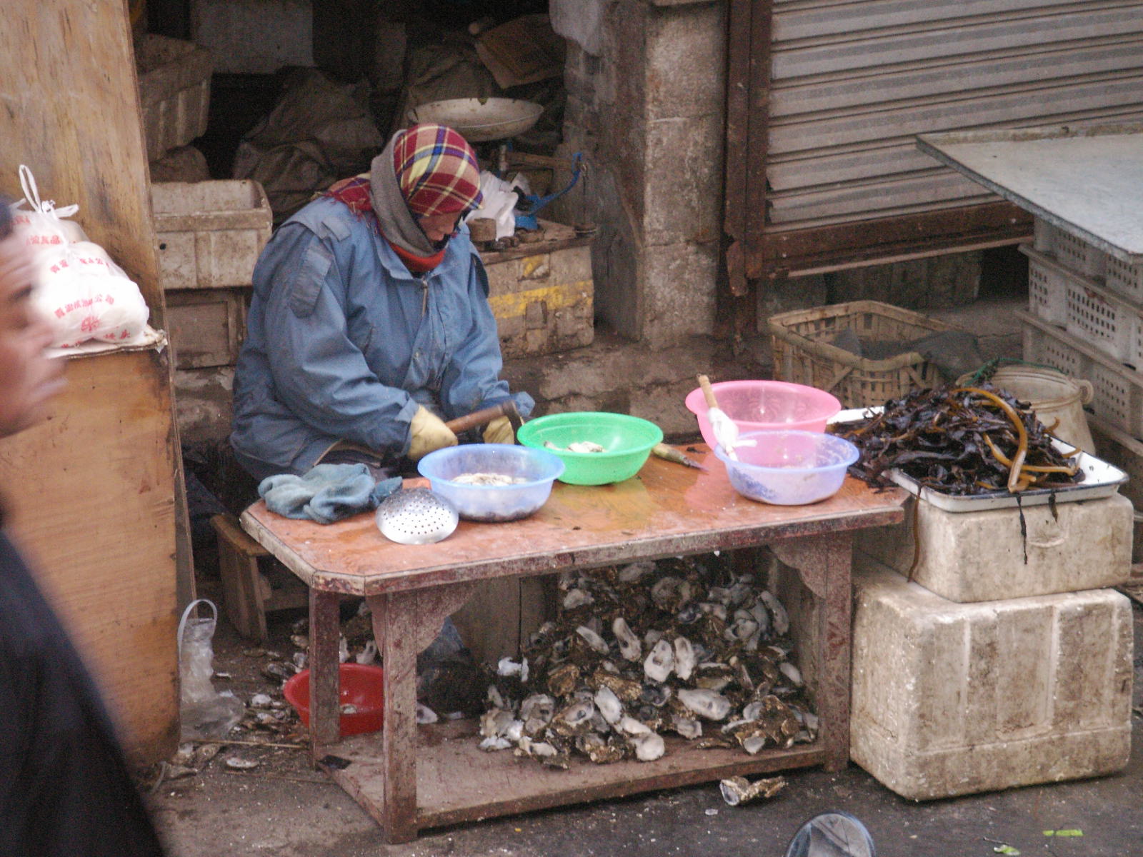 大連冬の風物詩 日中両国語ブログ 大連海蛎子的幸福生活