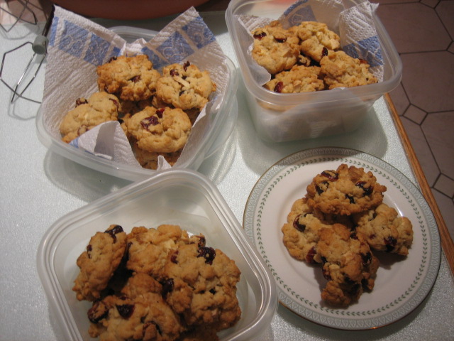 White chocolete and  cranberry biscuits_e0009547_734337.jpg