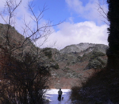 a0063364_842430.jpg
