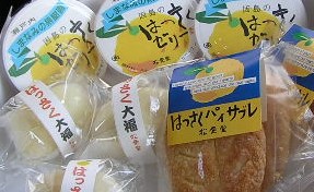 大根料理研究中_a0047200_0105627.jpg