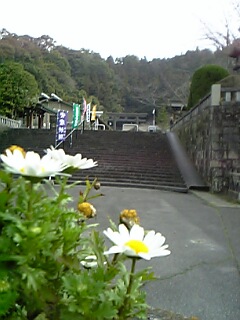 c0037701_21221516.jpg