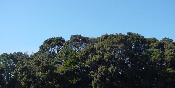 c0049902_16201034.jpg