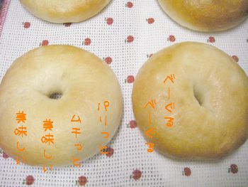 a0054504_1622769.jpg