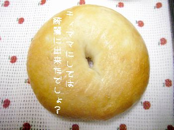 a0054504_16232535.jpg