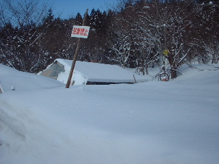 雪山_f0031037_2048596.jpg