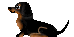 f0067245_17283033.gif