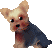 f0067245_17292863.gif
