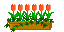 f0067245_18303085.gif