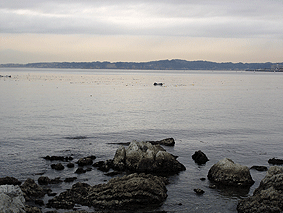c0042548_18531585.gif