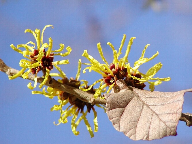 a0009600_17105266.jpg