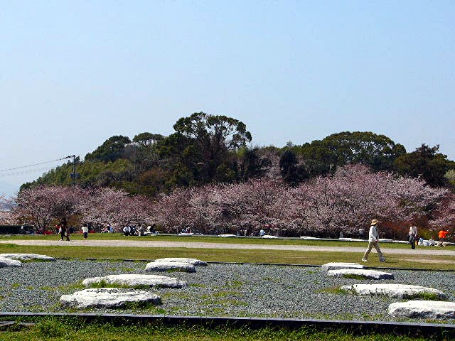 大宰府政庁跡　写真集_a0042310_1502912.jpg