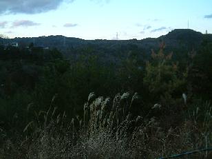 c0040218_05145.jpg