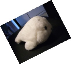 一方雪の香の便り・・・_c0006826_942738.jpg
