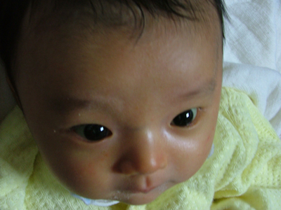 f0031252_1710024.jpg
