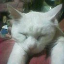 c0005007_20202639.jpg