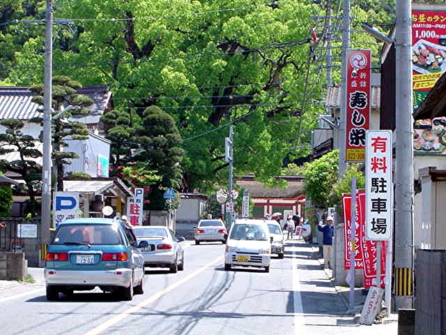 太宰府小学校区 地域写真 1_a0042310_22254388.jpg