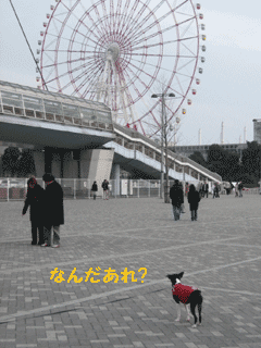 e0080117_0122023.gif
