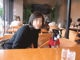 e0080117_0233943.gif