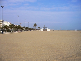 d0023418_0294629.jpg