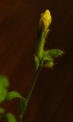 f0013029_19362036.jpg