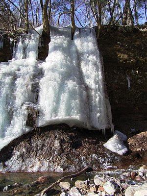 a0016346_2151944.jpg